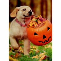Avanti Puppy With Pumpkin Bucket Cute Dog Halloween Card Perspective: Main