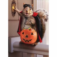 Avanti Squirrel Trick Or Treating Funny Halloween Card Perspective: Main