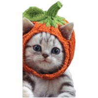 Avanti Kitten Knit Pumpkin Hat Cute Cat Little Big Funny Halloween Card Perspective: Main