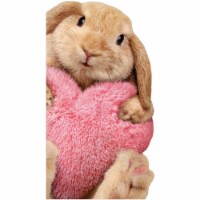 Avanti Bunny With Heart Pillow Little Big Funny Cute Valentine's Day Card Perspective: Main