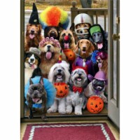Avanti Trick or Treat Dogs Funny / Humorous Halloween Card Perspective: Main