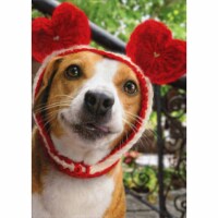 Avanti Dog With Heart Cap Funny Valentine's Day Card Perspective: Main