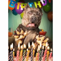 Avanti Surprised Dog Birthday Cake Lenticular Motion 3D Funny Birthday Card Perspective: Main