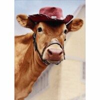 Avanti Press Greeting Card Friendship Jersey Cow with Hat Perspective: Main