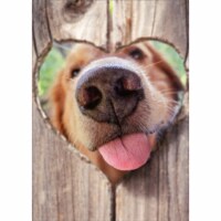Avanti Dog Nose Fence Funny Valentine's Day Card Perspective: Main