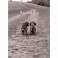 Avanti Dog Couple On Path Romantic Valentine's Day Card Perspective: Main