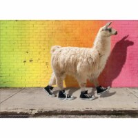 Avanti Cool Llama Funny / Humorous Graduation Card Perspective: Main