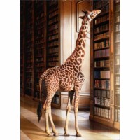 Avanti Giraffe At Library Funny / Humorous Graduation Card Perspective: Main