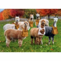 Avanti Alpacas With Napkins Funny / Humorous Thanksgiving Card Perspective: Main
