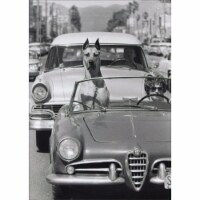 Avanti Press Greeting Card Hollywood Dog in Sports Car Perspective: Main