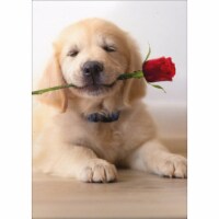 Avanti Golden Puppy With Rose Cute Dog Valentine's Day Card Perspective: Main