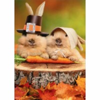 Avanti Press Greeting Card Halloween Bunny Pilgrims Perspective: Main