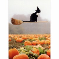 Avanti Black Cat Riding Broom Humorous / Funny Halloween Card Perspective: Main