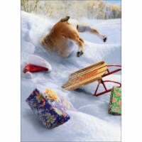 Avanti Press Dog and Sled Stuck in Pile of Snow Humorous : Funny Box of 10 Christmas Cards
