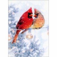 Avanti Press Christmas Cardinals Perched on String of Lights Box of 10 Christmas Cards
