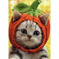 Avanti Kitten Wearing Knit Pumpkin Hat Cute Halloween Card Perspective: Main