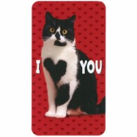 Avanti Black and White Cat with Heart Shape on Chest Little Big Funny Valentine's Day Card Perspective: Main