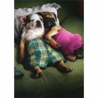 Avanti Press Greeting Cards Valentine's Day Puppy Love Perspective: Main