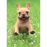 Avanti Frenchie Jumping in Grass Cute Dog Valentine's Day Card Perspective: Main