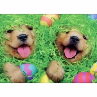 Avanti Press Greeting Cards Easter Puppies in Easter Basket Perspective: Main