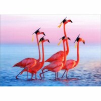 Avanti Five Flamingos Wearing Grad Caps Funny Congratulations Graduation Card Perspective: Main