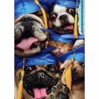 Avanti Dog and Cat Grads Squished Into Photo Booth Funny Graduation Congratulations Card Perspective: Main
