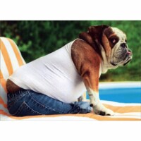 Avanti Press Greeting Cards Father's Day Bulldog Tank Top Perspective: Main