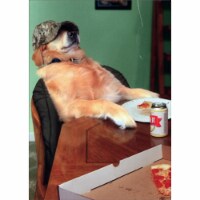 Avanti Press Greeting Cards Father's Day Chill Dog with Beer Perspective: Main