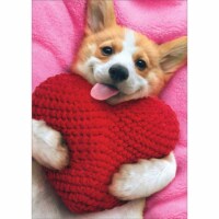 Avanti Corgi Holding Heart Pillow on Pink Blanket Cute Dog Valentine's Day Card Perspective: Main