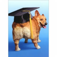 Avanti Corgi Dog with Grad Cap on Butt Funny/Humorous Graduation Card Perspective: Main