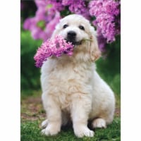Avanti White Dog Holding Lilac In Mouth Cute Animal Mother's Day Card Perspective: Main