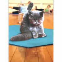 Avanti Press Greeting Cards Almost Funny Yoga Cat Perspective: Main