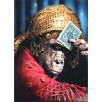 Avanti Press Greeting Card - Fortune Telling Gorilla Perspective: Main