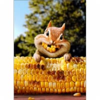 Avanti Press Greeting Card - Chipmunk Corn Teeth Perspective: Main