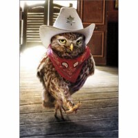 Avanti Press Greeting Cards Birthday Cowboy Owl Perspective: Main