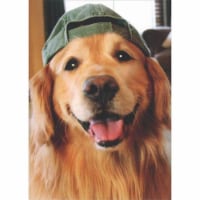 Avanti Press Greeting Cards Blank Golden Retriever Baseball Cap Perspective: Main