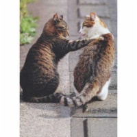Avanti Press Greeting Cards Blank Cat Friends Perspective: Main