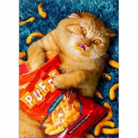 Avanti Press Greeting Cards Birthday Cheese Puff Cat Standout Perspective: Main