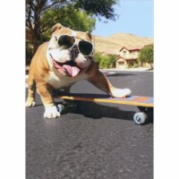Avanti Press Greeting Cards Birthday Dog/Skateboard/Sunglasses Perspective: Main