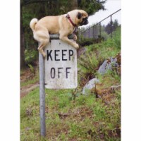 Avanti Press Greeting Cards Birthday Pug Keep Off Sign Perspective: Main