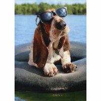 Avanti Press Greeting Cards Birthday Basset Hound (DEAN) Wearing Sunglasses Perspective: Main