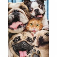 Avanti Press Greeting Cards Birthday Dog/Cat Photobooth Fun Perspective: Main