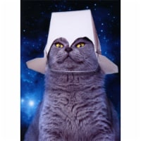 Avanti Press Greeting Cards Birthday Cat with Take Out Container Perspective: Main
