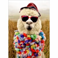 Avanti Press Greeting Cards Birthday- ALPACA FEDORA DUDE Perspective: Main