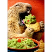 Avanti Press Greeting Card Birthday Ground Hog Chip Dip Perspective: Main