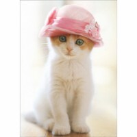 Avanti Press Greeting Card Blank Cat Wears Pillbox Hat - Blank Perspective: Main