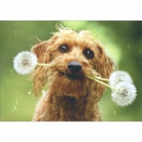 Avanti Press Greeting Card Blank Dog With Fluffy Dandelion Perspective: Main