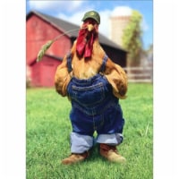 Avanti Press Greeting Cards Birthday Chicken in Overalls Perspective: Main
