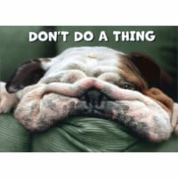 Avanti Press Greeting Card Get Well Dog Face On Pillow - New Verse Perspective: Main