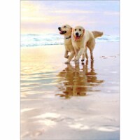 Avanti Press Greeting Cards Anniversary Golden Dogs on Beach Perspective: Main